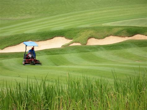 The Health Benefits of Playing Golf on White Courses